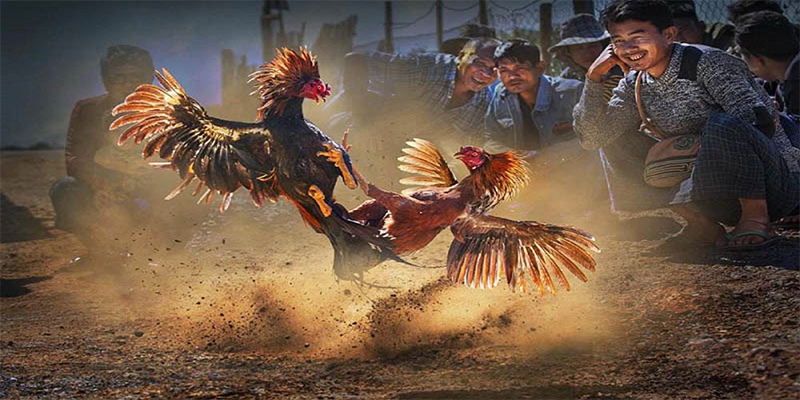 oklavip chơi bắn cá đổi thưởng