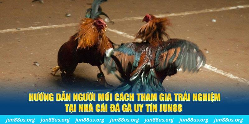 oklavip CQ9 Điện Tử