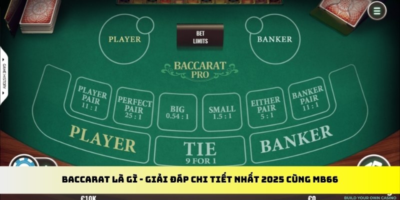 oklavip gà chọi cu cần