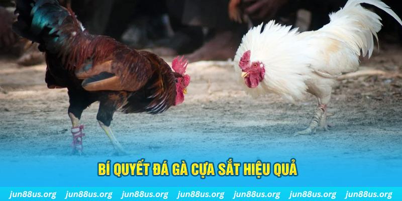 oklavip xin 1 slot là gì