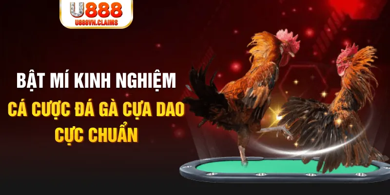 oklavip tỷ lệ cá cược châu á là gì