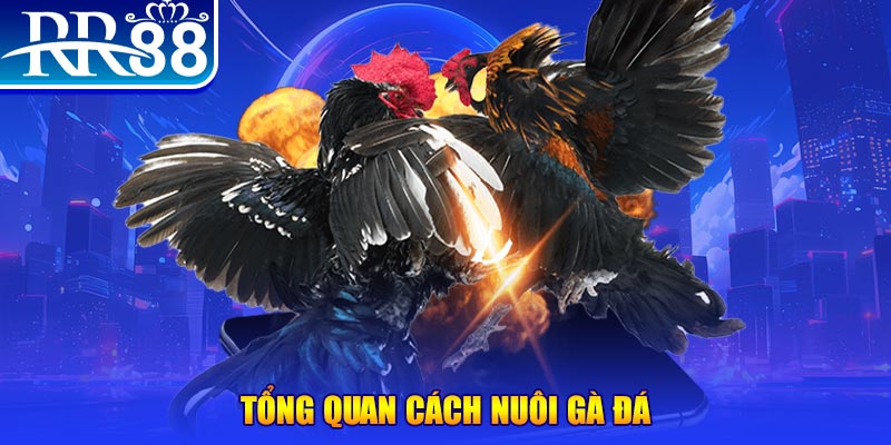 oklavip VA Điện Tử