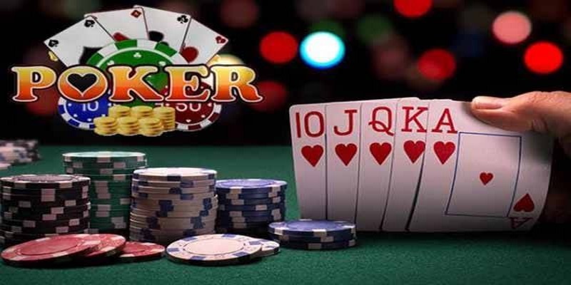 oklavip đá gà thomo trực tiếp