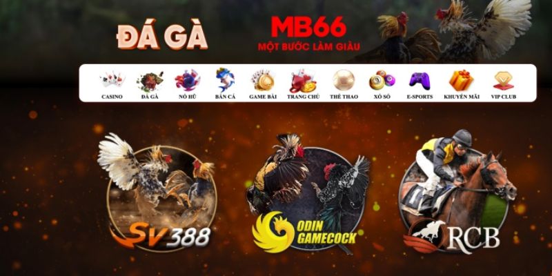 oklavip đăng nhập poker số 1
