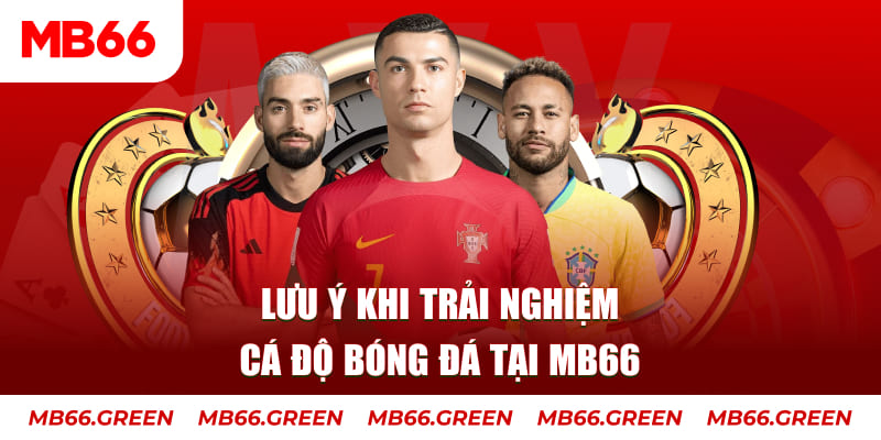 oklavip cá cược là gì