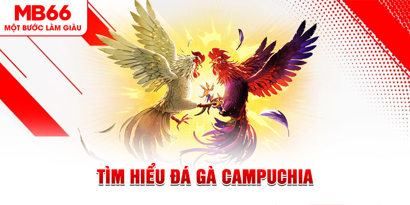 oklavip đá gà trực tiếp