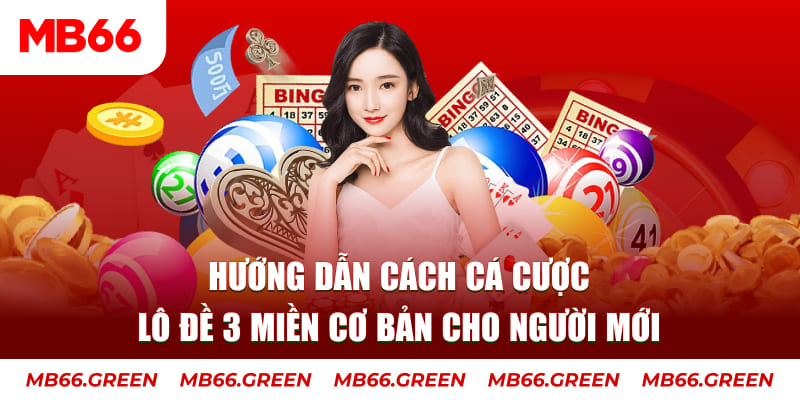 oklavip Askme Điện Tử