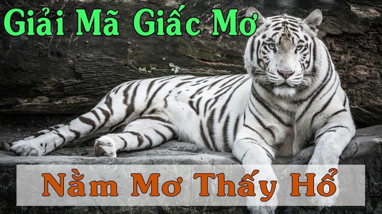 oklavip WM Trực Tuyến