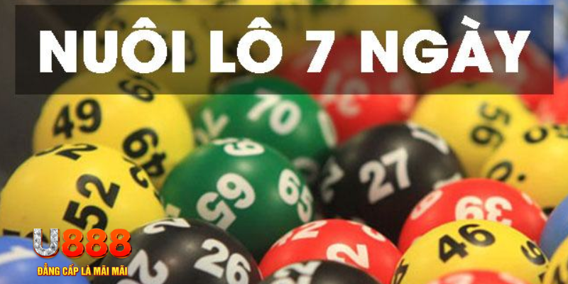oklavip slot là j