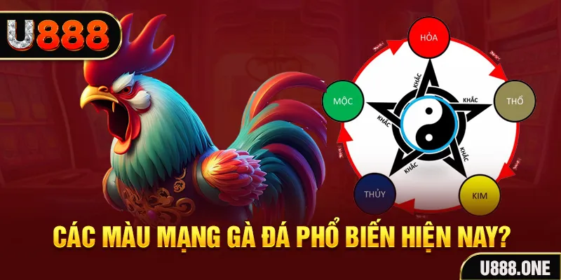 oklavip trực tiếp đá gà 88