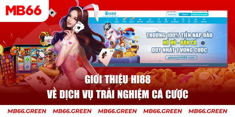oklavip ga choi hoa phong