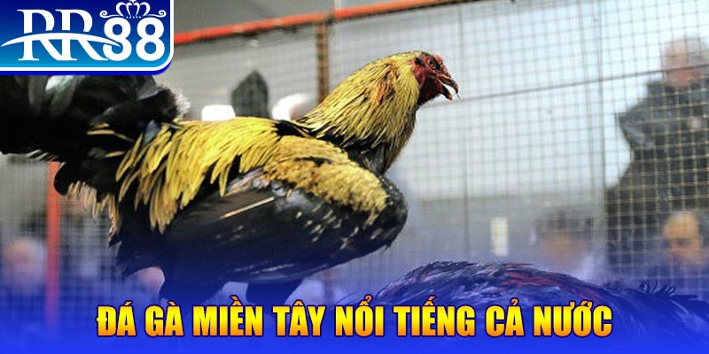 oklavip JILI Game Bài 3d