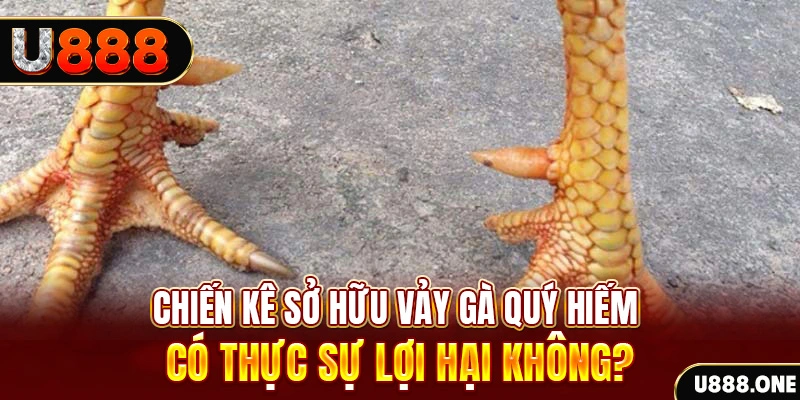 oklavip nohu .mx nổ hủ là gì