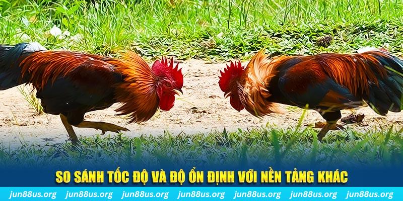 oklavip đá gà hôm nay