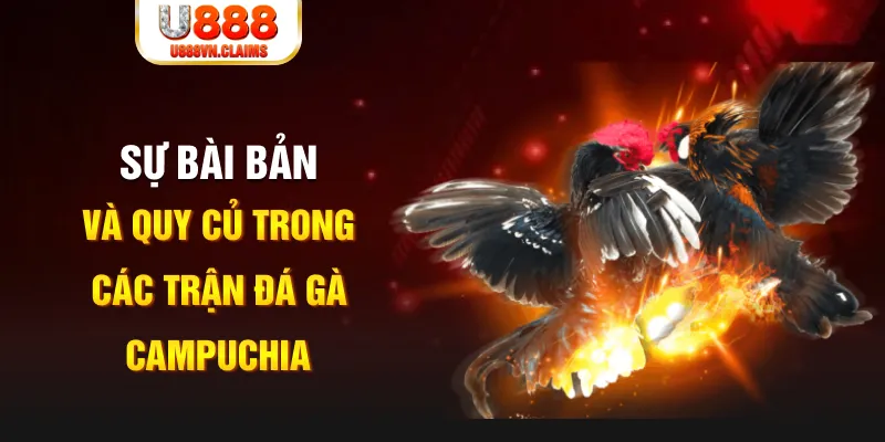 oklavip YGR Điện Tử