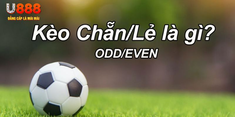oklavip đăng nhập poker hôm nay