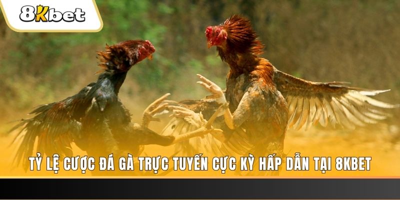 oklavip đăng nhập phỏm trực tiếp