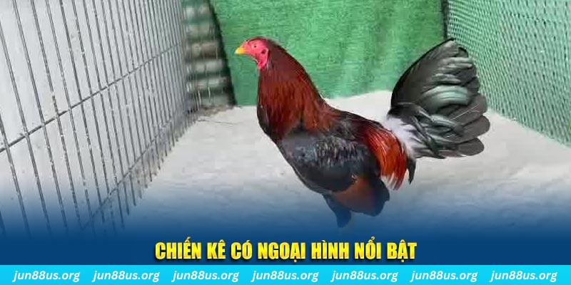 oklavip chạy quảng cáo cho game bài bị phạt như thế nào