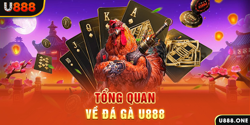 oklavip ILOVEU Điện Tử