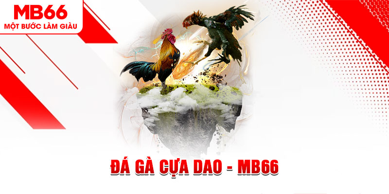 oklavip đá gà sv388 gold